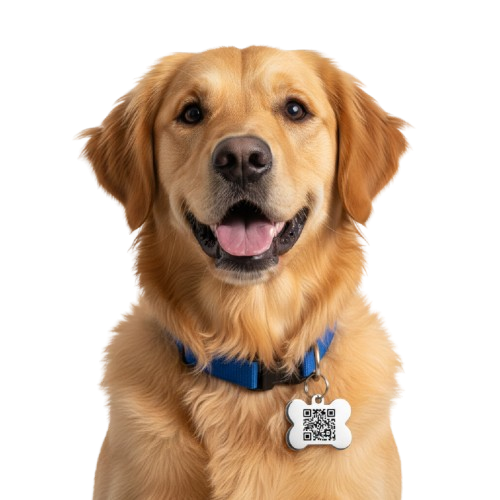 Mascota feliz protegida con MASCOTRACK